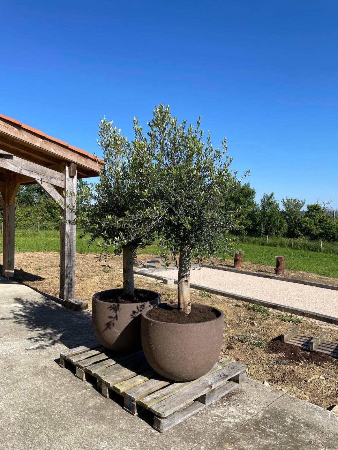 Maison Cabet Castelnavet Exterior photo